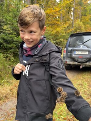 Foto des Albums: Wandertag 2024 an der Wilhelmschule