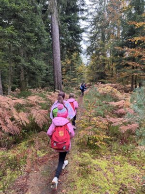 Foto des Albums: Wandertag 2024 an der Wilhelmschule