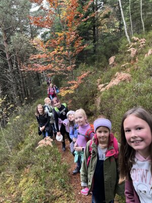 Foto des Albums: Wandertag 2024 an der Wilhelmschule