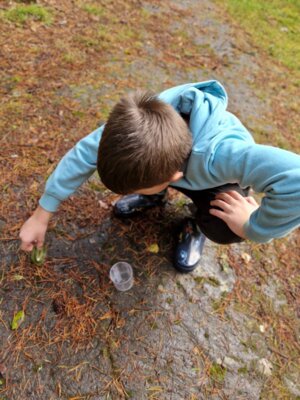 Foto des Albums: Wandertag 2024 an der Wilhelmschule