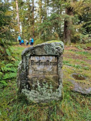 Foto des Albums: Wandertag 2024 an der Wilhelmschule