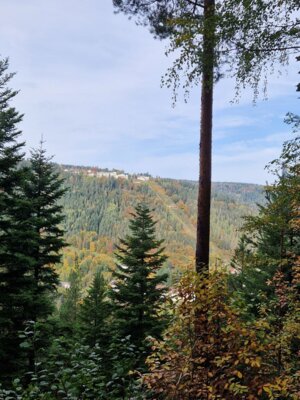 Foto des Albums: Wandertag 2024 an der Wilhelmschule
