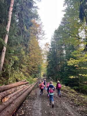 Foto des Albums: Wandertag 2024 an der Wilhelmschule