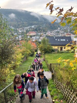 Foto des Albums: Wandertag 2024 an der Wilhelmschule