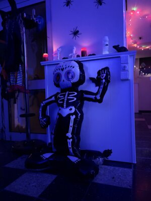 Vorschaubild der Galerie