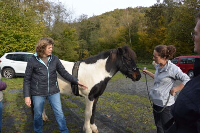 Foto des Albums: Doppellongenkurs mit Andrea Wagner 2024