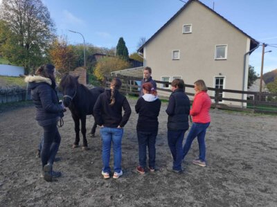 Foto des Albums: Erste Hilfe am Pferd 2024