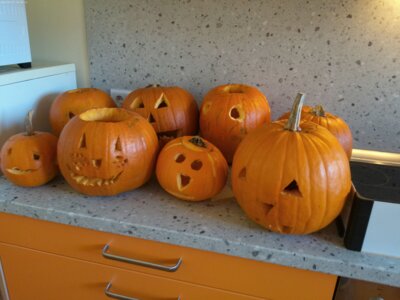 Die Kürbiszeit ist da.  (Bild vergrößern)