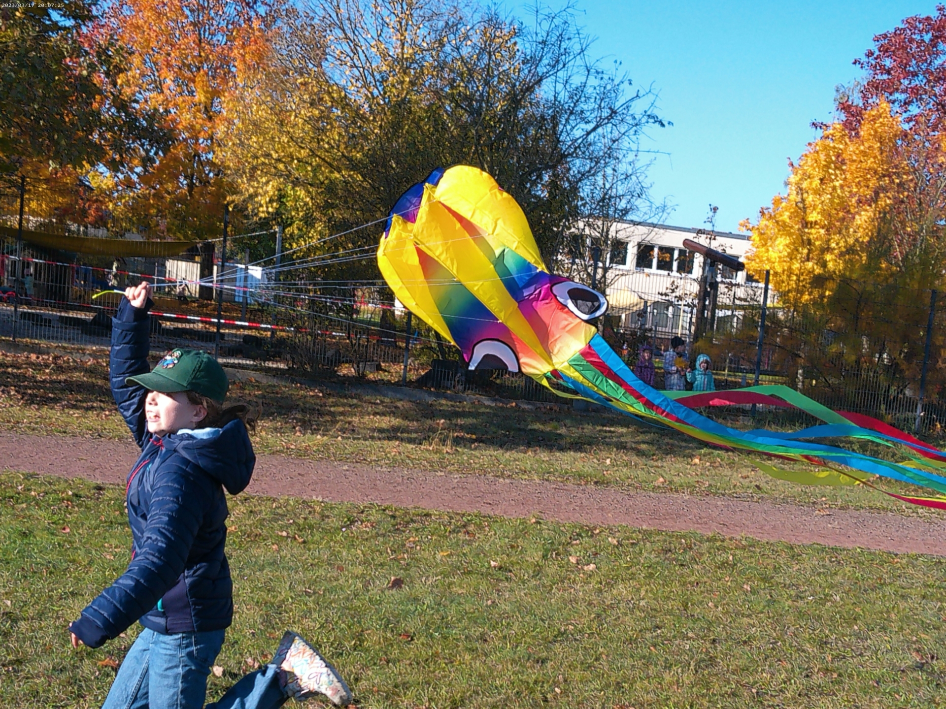 Bild: Flieg mein Drachen, flieg!