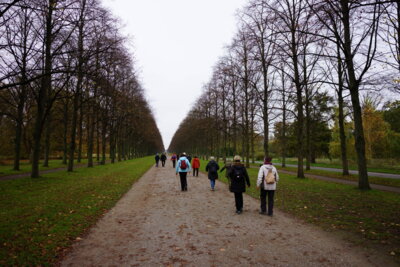 Herrenh&auml;user Allee  (Bild vergr&ouml;&szlig;ern)