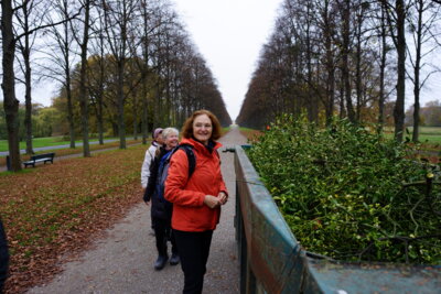 Mistelzweige  (Bild vergr&ouml;&szlig;ern)