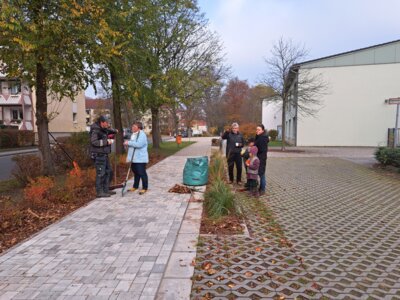 Foto des Albums: Arbeitseinsatz 9.11.24 (10.11.2024)