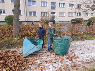 Foto des Albums: Arbeitseinsatz 9.11.24 (10.11.2024)