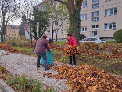 Foto des Albums: Arbeitseinsatz 9.11.24 (10.11.2024)