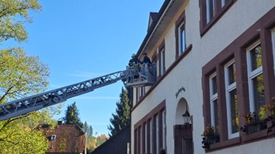 Foto des Albums: Schauübung 100-jähriges Jubiläum Abteilung Unterreichenbach
