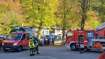 Foto des Albums: Schauübung 100-jähriges Jubiläum Abteilung Unterreichenbach
