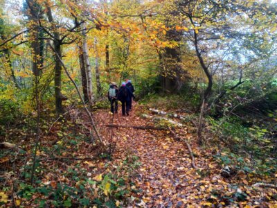 Auf herbstlichen Pfaden  (Bild vergr&ouml;&szlig;ern)