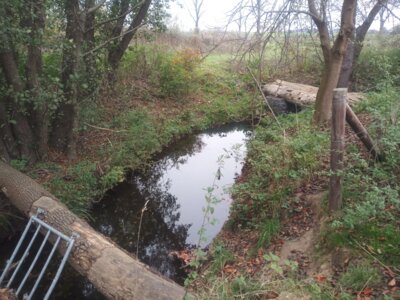 Die kleine M&uuml;hlbachbr&uuml;cke  (Bild vergr&ouml;&szlig;ern)