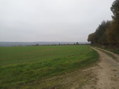 R&uuml;ckweg  (Bild vergr&ouml;&szlig;ern)