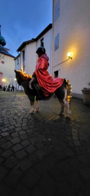 Foto des Albums: Sankt Martin