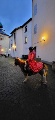 Foto des Albums: Sankt Martin
