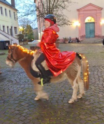 Foto des Albums: Sankt Martin