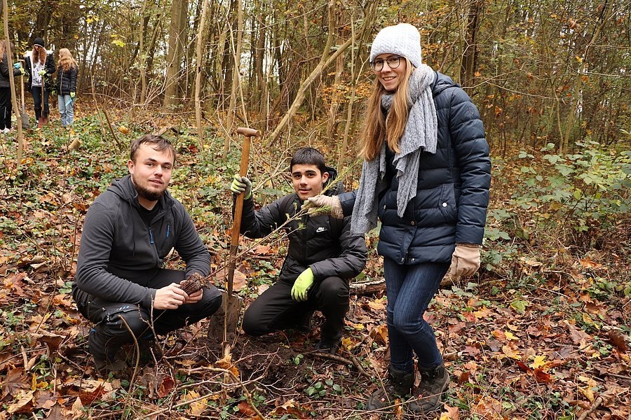 Bild: Baumpfleger Nick Dietz, ein Schüler der 7b und Umweltschutzmanagerin Stina Harbeck pflanzen einen Baum. Foto: Stadt Glinde