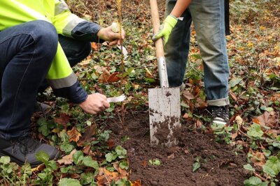 Kinder der S&ouml;nke-Nissen-Gemeinschaftsschule auf dem Weg zum Baumpflanzen mit dem Unternehmen DS Smith. Foto: Stadt Glinde  (Bild vergr&ouml;&szlig;ern)