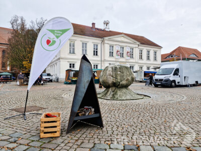 Foto des Albums: Der Holzmarkt schließt die diesjährige PriMa-Treff-Reihe ab