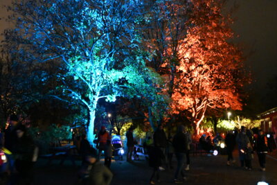 Foto des Albums: Lichterfest 2024