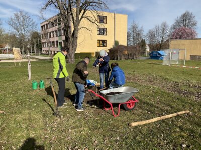 Foto des Albums: Baumpflanzen 2023-24