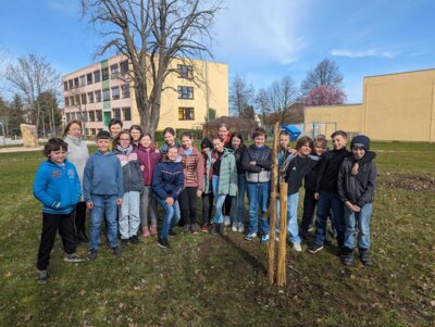 Foto des Albums: Baumpflanzen 2023-24