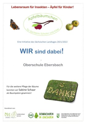 Foto des Albums: Baumpflanzen SJ 22/23