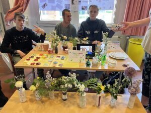 Foto des Albums: Projektwoche 2023