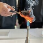Foto des Albums: 12. Naturwissenschaftliche Olympiade