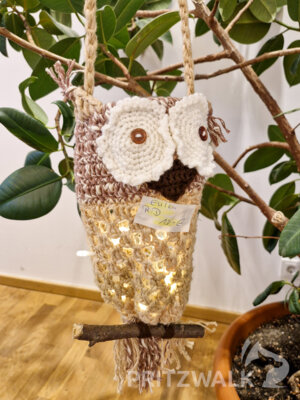 Foto des Albums: Knieper- und Regionalmarkt Pritzwalk