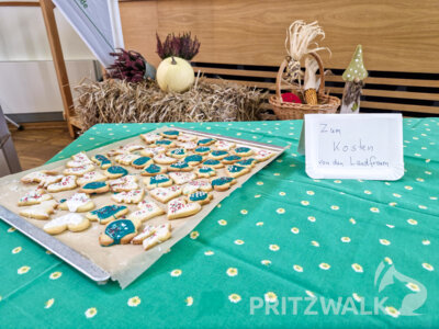 Foto des Albums: Knieper- und Regionalmarkt Pritzwalk