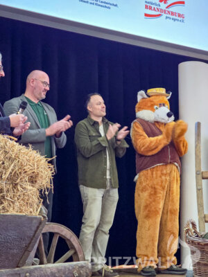 Foto des Albums: Knieper- und Regionalmarkt Pritzwalk (Teil 2)