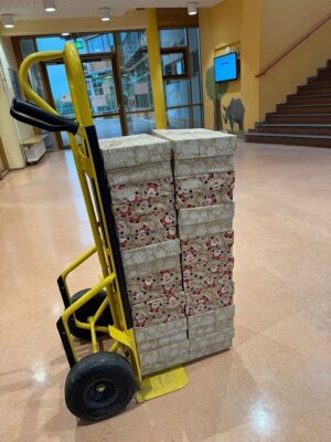 Foto des Albums: Weihnachten im Schuhkarton 2024