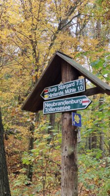 Foto des Albums: Kürbisköpfe