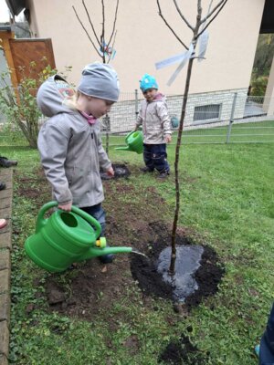 Fotoalbum voestalpine klimaneutral