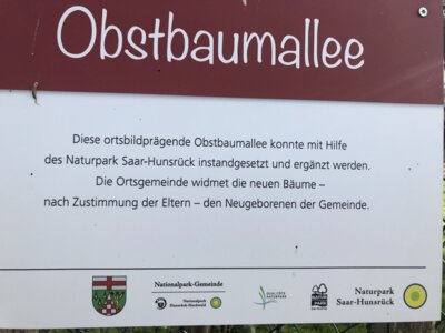 Foto des Albums: Obstbaumallee
