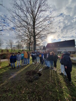 Foto des Albums: Baumpflanzen Silberlinde + 5. Klassen SJ 24/25