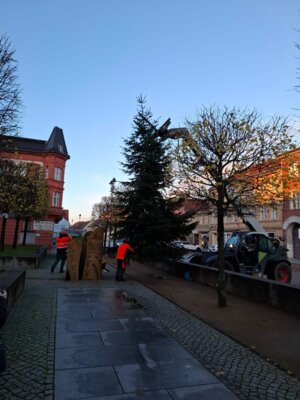 Fotoalbum Aufstellen des Weihnachtsbaumes am Klostervorplatz