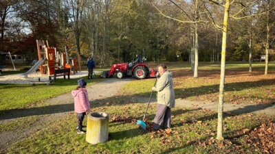 Foto des Albums: Herbstputz 2024