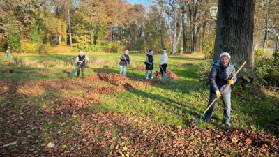 Foto des Albums: Herbstputz 2024