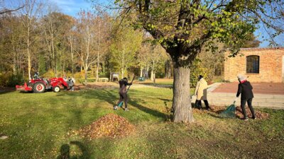 Foto des Albums: Herbstputz 2024