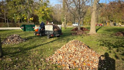 Foto des Albums: Herbstputz 2024