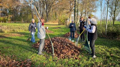 Foto des Albums: Herbstputz 2024