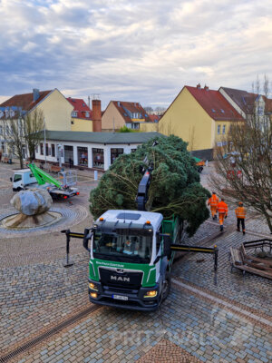 Foto des Albums: Der Weihnachtsbaum wurde aufgestellt
